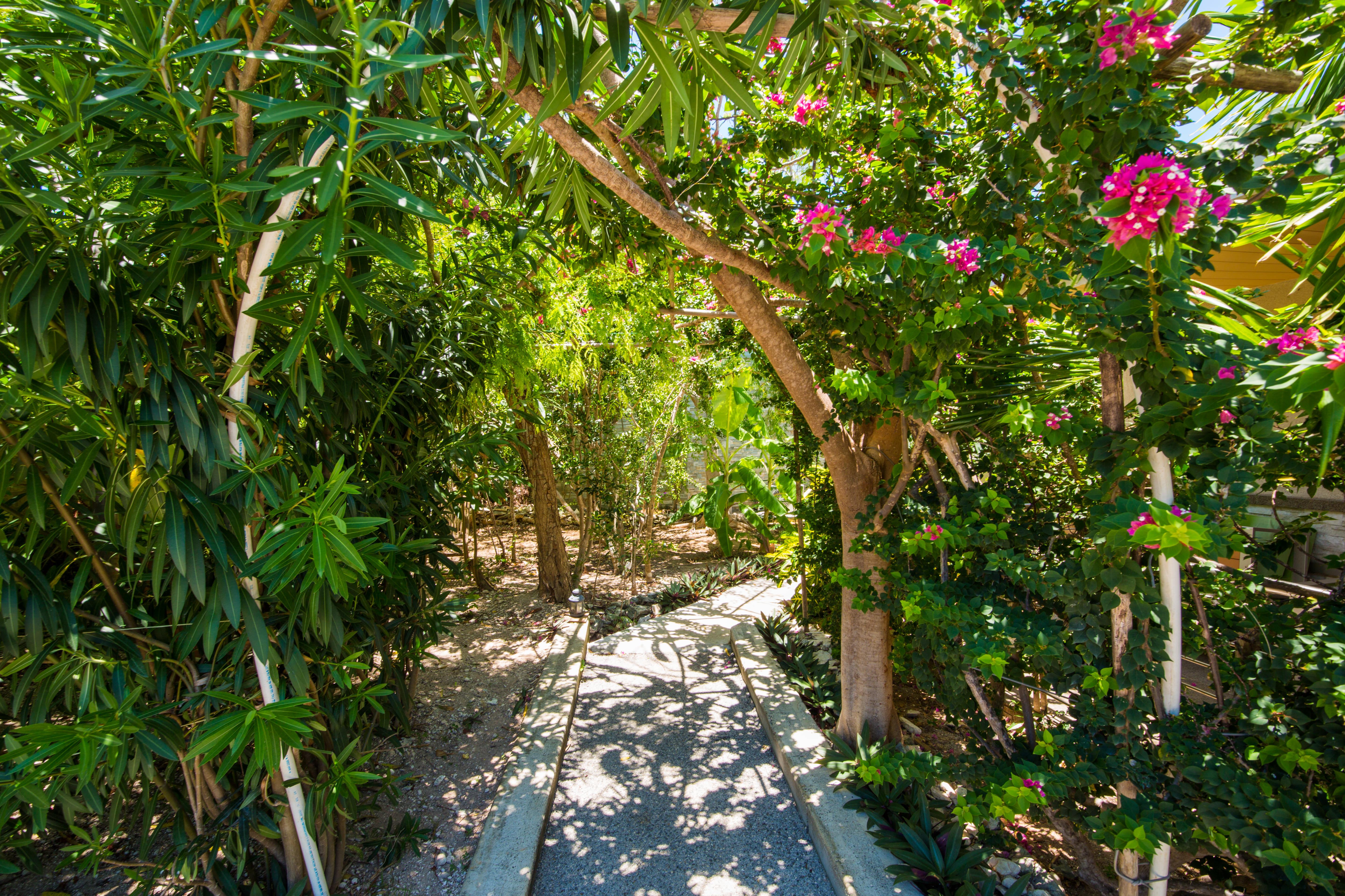 One On Marlin Resort (Adults Only) Turtle Cove Bagian luar foto
